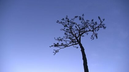 いまだに2519人が不明　海岸では日の出に合わせ祈り　福島第一原発廃炉への道は不透明　東日本大震災からきょうで15年