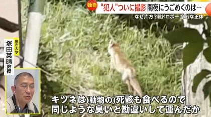 同じ家から 靴泥棒