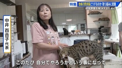 猫は天使 猫は天使」32匹との暮らしに月40万円 身銭を切って保護活動を続ける