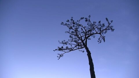 いまだに2519人が不明　海岸では日の出に合わせ祈り　福島第一原発廃炉への道は不透明　東日本大震災からきょうで15年