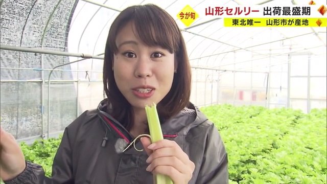 「シャキシャキとした歯ごたえ!」