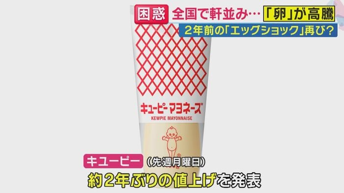 マヨネーズも値上げへ
