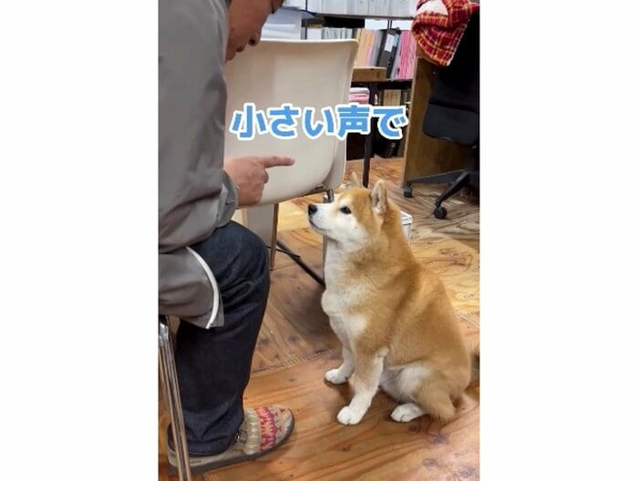「小さい声で」(提供:エイトデザイン)