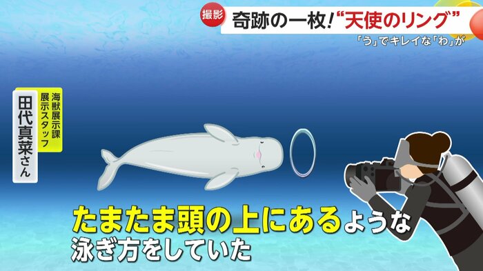 撮影時のイメージ画像