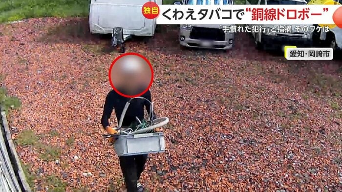 銅線を含む部品を盗んでいた男(提供:アジア電設)