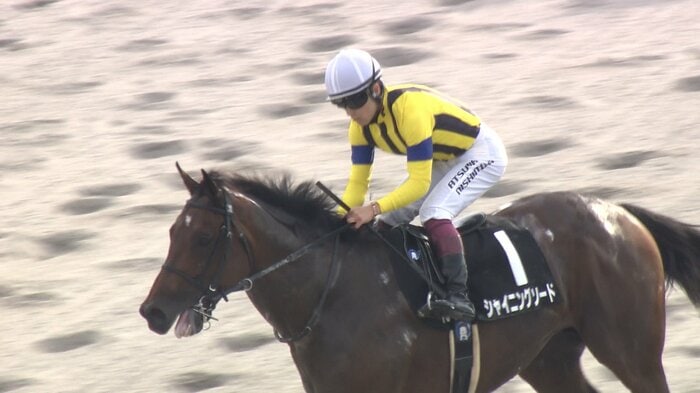 昇仙峡Sを制したシャイニングソード