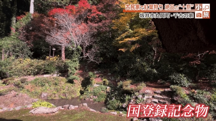 庭園は登録記念物に指定されている