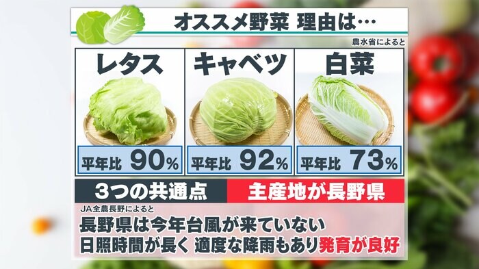 平年より安い“HERO野菜”