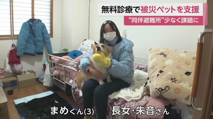 ペット同伴の避難所に入れず、職場の高齢者施設で愛犬「まめ」と生活中