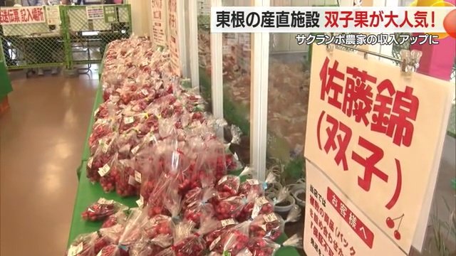 双子果だけが並んだ特設コーナー