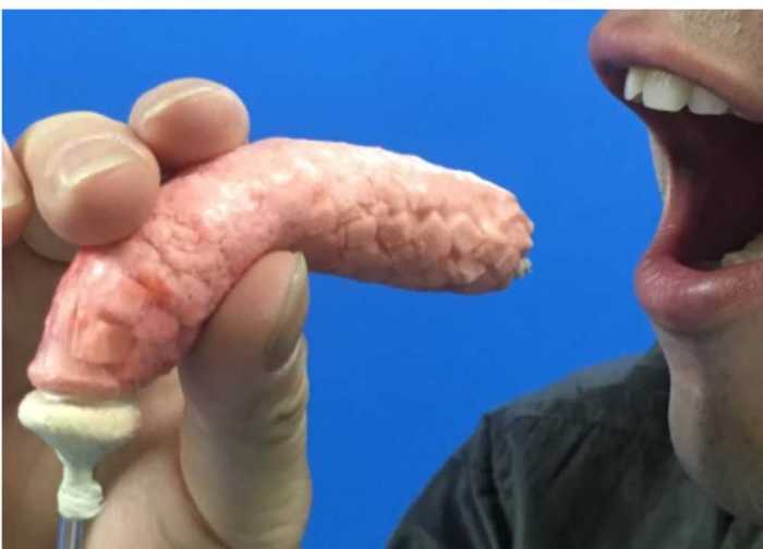 「食べられるロボット」って何?なんの役に立つ? 開発者に聞いた