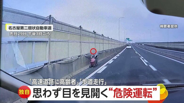 【独自】「おばあちゃんがカート押して…」高速道路を手押し車で歩く“高齢女性”　歩道をあたふたしながら走行する車も｜FNNプライムオンライン