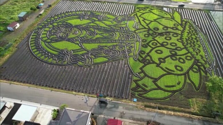 ことしもサトイモ畑に巨大地上絵が登場！ 山形の芋煮を「世界」へPR【山形発】｜FNNプライムオンライン