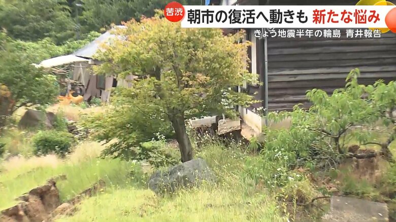 敷地内には地盤沈下も