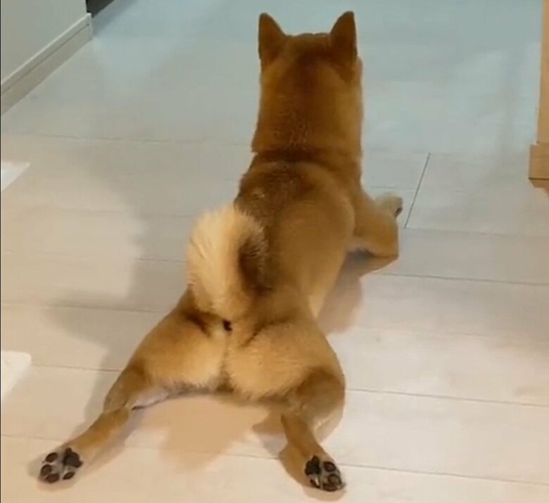 名前を呼ばれる前のまめ助くん