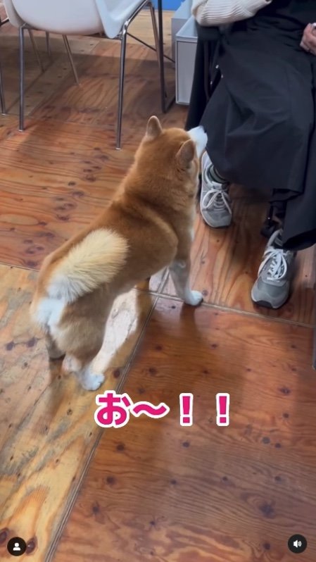 提供：エイトデザイン