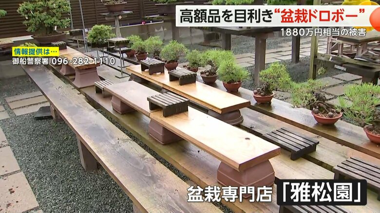 窃盗事件が発生した熊本・御船町の盆栽専門店「雅松園」