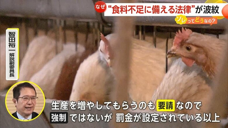法律の狙いについて話すフジテレビの智田解説副委員長
