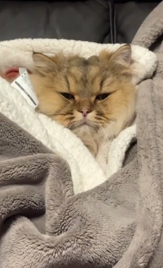 提供：ひなたさん