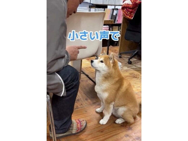 「小さい声で」（提供：エイトデザイン）