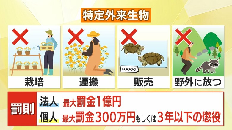 法人は最大1億円の罰則も