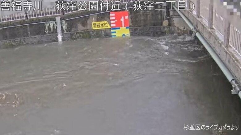 善福寺川の様子