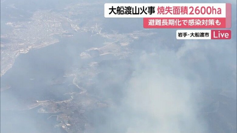 山林火災の様子