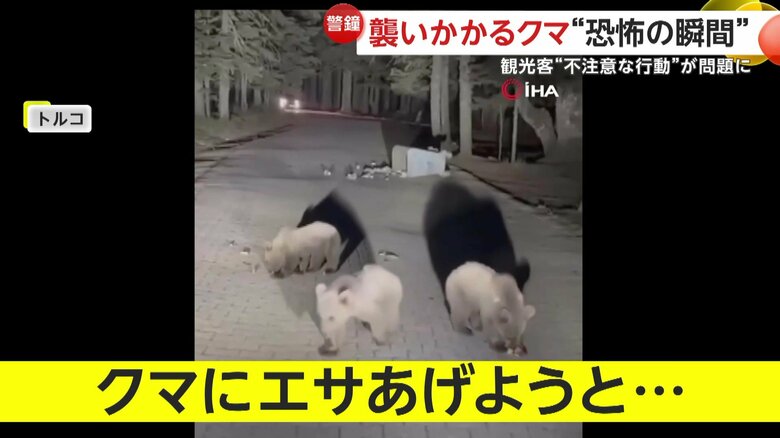 エサに寄ってきていたクマたち