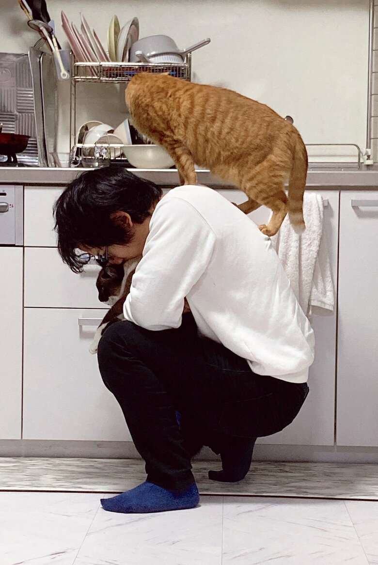 提供：たぬき&とらさん