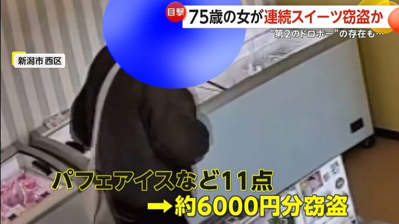約6000円分の商品を盗んでいったスイーツドロボー（映像提供：GOZZO de sweetsオーナー）