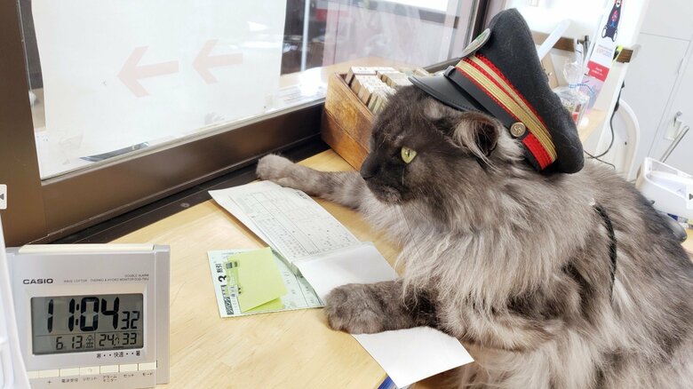 窓口業務中の様子