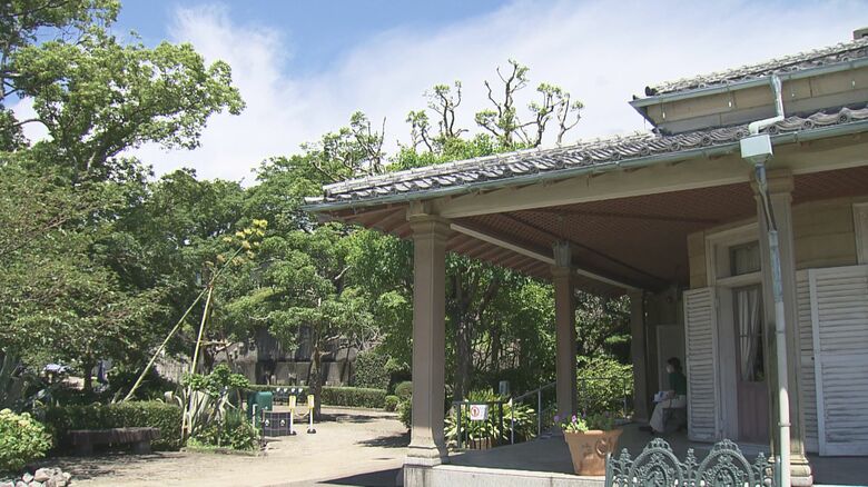 2021年　グラバー園旧グラバー住宅横のリュウゼツラン