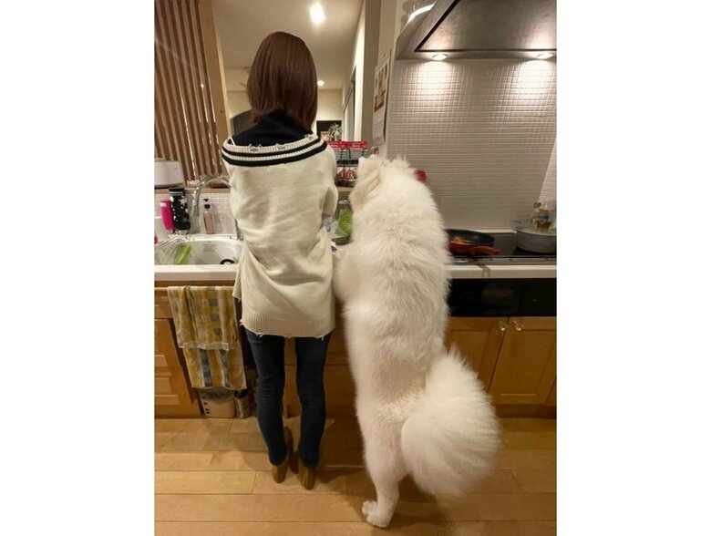 提供：ibukimama38さん