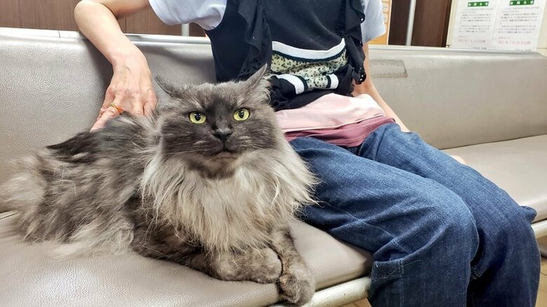 待合室にいるお客さんとの様子