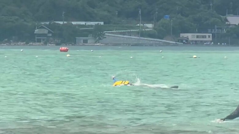 イルカが子どもを襲う一部始終⑨（全18枚）