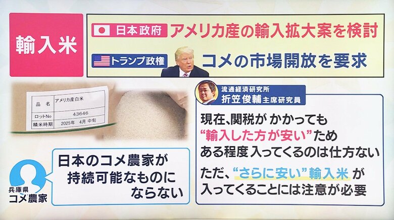 政府内で関税交渉をめぐりアメリカ産の米の輸入拡大を検討