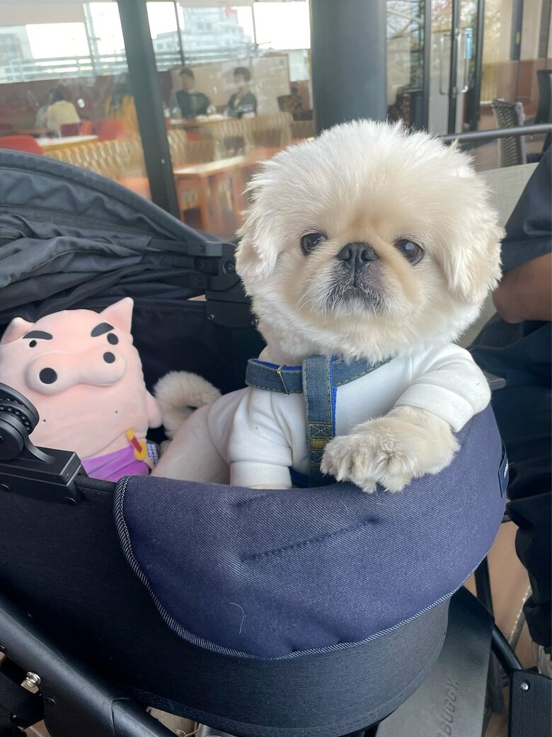 提供：てんてんの毎日さん