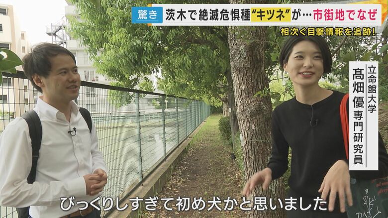 びっくりしすぎて犬かと