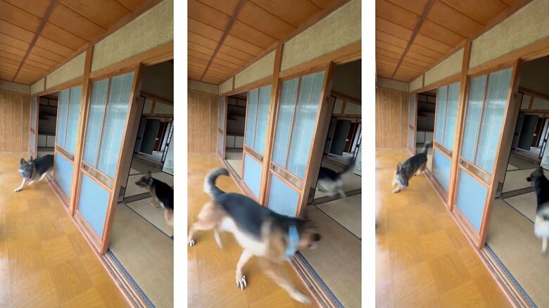 反対方向にもぐるぐる