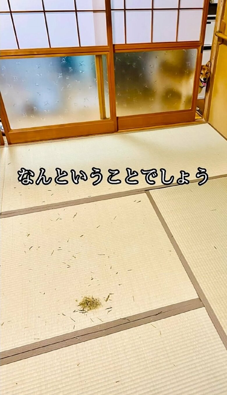 なんということでしょう