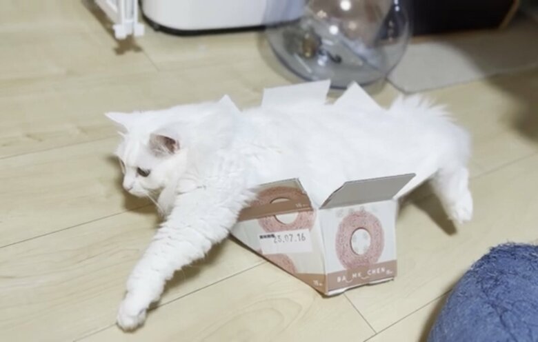 箱がそろそろ限界？