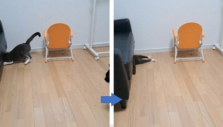 ソファ下に入ろうとして、おなかが引っかかるさちちゃん