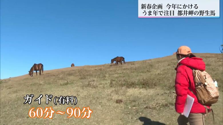 岬の起伏を案内するガイドツアーの様子