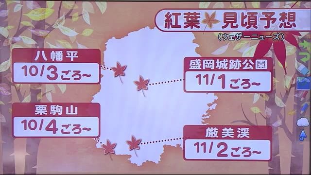 岩手県内の紅葉の見ごろ予想 ウェザーニューズが発表