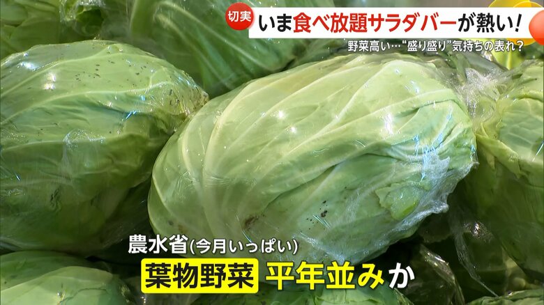 5月いっぱいは、平年並みの価格で推移する見込みの葉物野菜