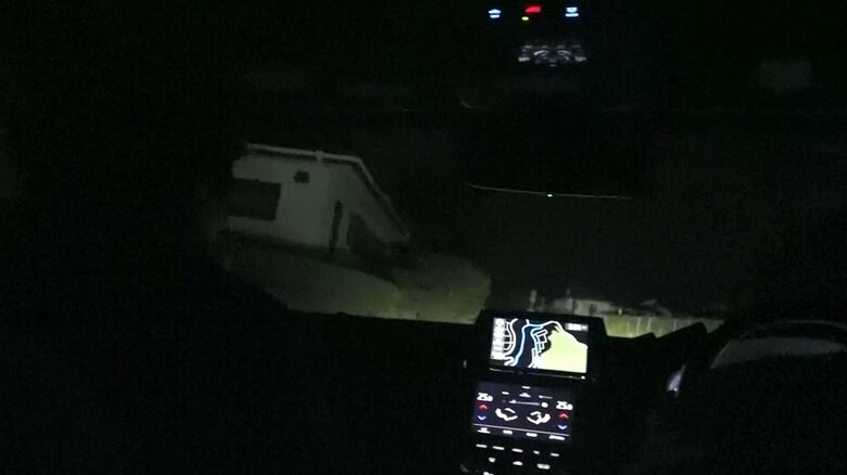 キョンが最も活発になるのは夜