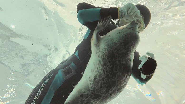 抱えられるまで。その3（提供と撮影：ガッチリカさん）