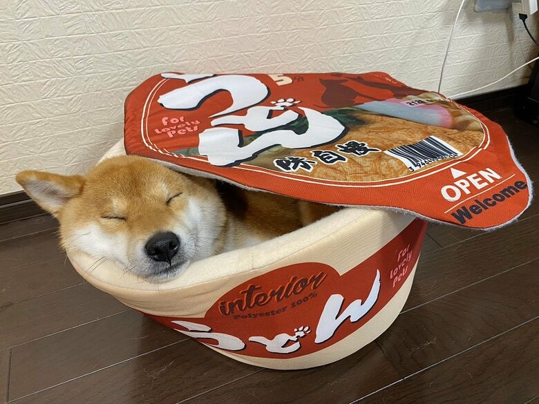 きつねうどん