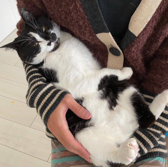 提供：卵山玉子先生