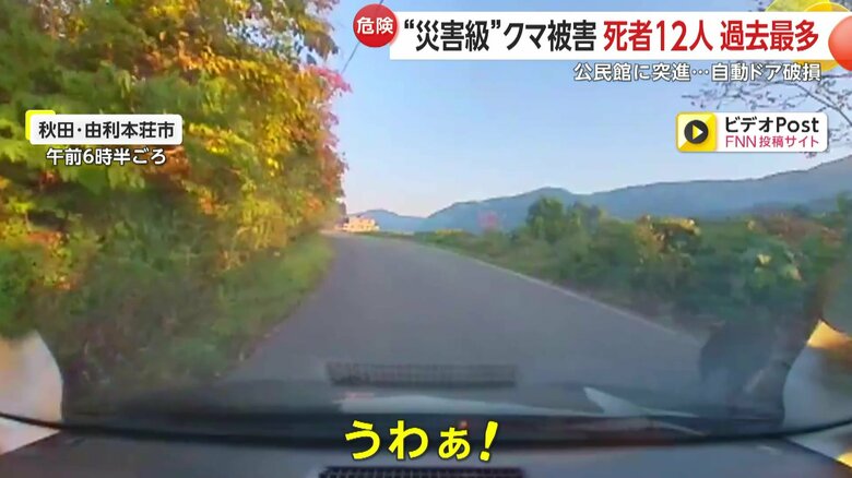 走行中の車の目に前に現れた親子とみられるクマの群れ③